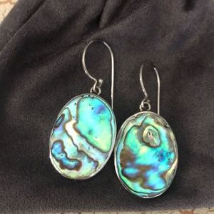Handmade Abalone Earrings-EUC